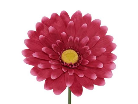 Gerbera h.150cm fucsia 801443 on Sale