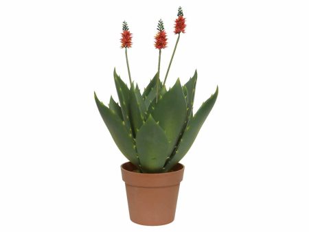 Agave h.60cm con vaso 801202 Sale