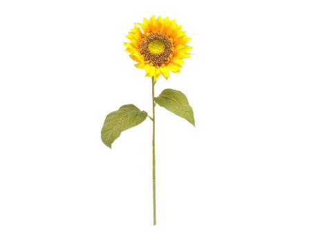 Girasole singolo spruzzato colore naturale 73cm Cheap