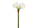 Amaryllis ramo x3 h.66 bianco 214609,17 Online