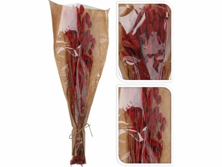 Bouquet fiori secchi rosso on Sale