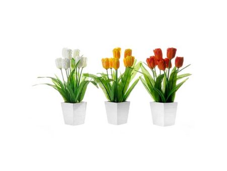 Pianta tulipano 10x10x31cm 30450 For Cheap