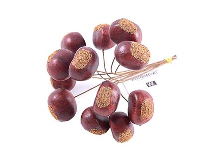 Confezione castagne x12 16,5cm dc000298 Hot on Sale