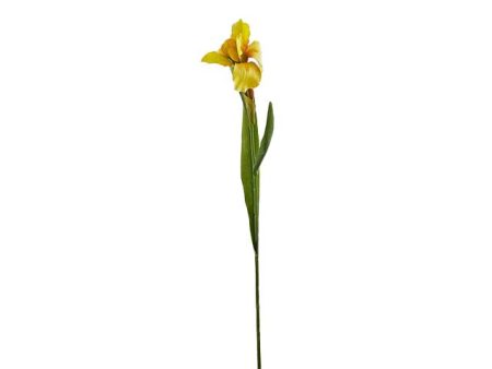 Iris eden ramo h.56 giallo 213886,20 Online